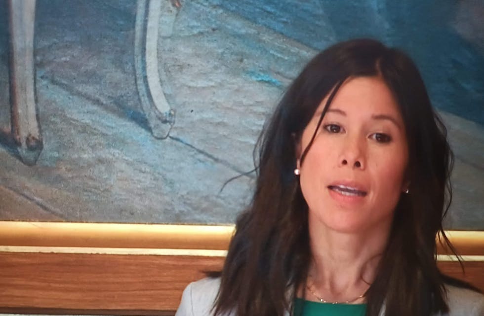 Lan Marie Nguyen Berg (MDG) kritiserte strømstøtte-ordningen, og mente den var fordelaktig for de med god råd og ikke stimulerte til å bruke mindre strøm. MDG vil ha en flat sats som er lik for alle fortalte hun i Stortinget 19. september, uavhengig av strømforbruk. MDG vil også ha raskt ned det norske strømforbruket. Foto: Screenshot av Stortingets nettsending.